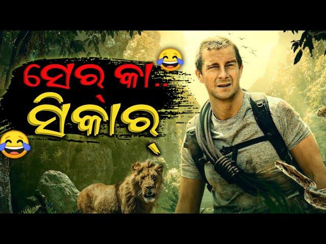 Sher Kaa Shikar Man Vs Wild Sambalpuri DUBBING Comedy || Raj Creation 2.0 #viral
