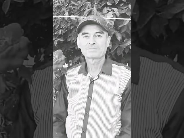 Царство небесное Бахты Ака. Вы были хороший человек. Мы помним вас. ️#голуби #pigeon #kabootar
