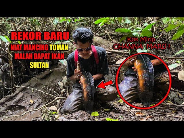 PASANG PANCING DI SUNGAI DAN PARIT AIR HITAM DIKIRA DAPAT TOMAN #93 #bocahpecicilan