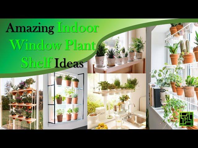 Amazing Indoor Window Plant Shelf Ideas