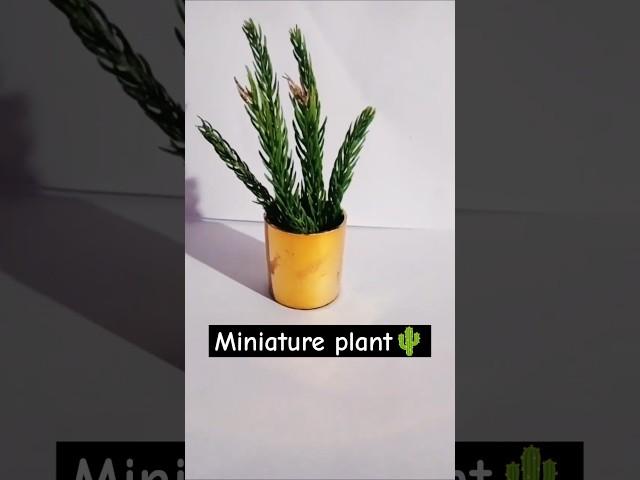 Miniplant diy#miniature#diy #hacks#5-minutecrafts #lifehacks#wastematerialcraft #shortvideo#viral