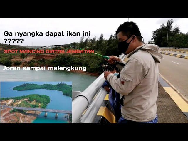 FishingVlog2 || Mancing Pinggiran Diatas Jembatan 3 Barelang, Gak Nyangka Strike Ikan Ini???