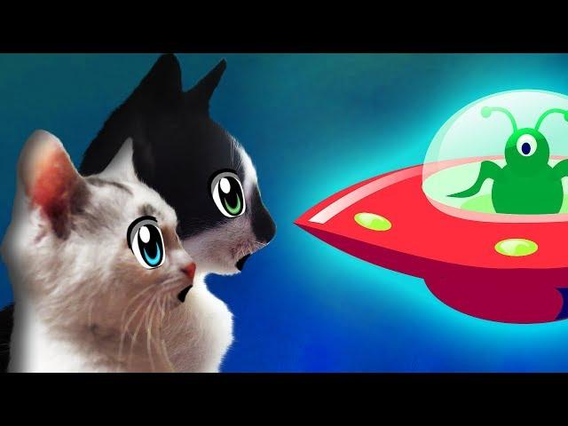 КОТ МАЛЫШ и СЕМЬЯ КОТОВ VS ПРИШЕЛЕЦ! КОТЫ ПРОТИВ НЛО! cats VS aliens! КОТЕНОК и Alien in the house