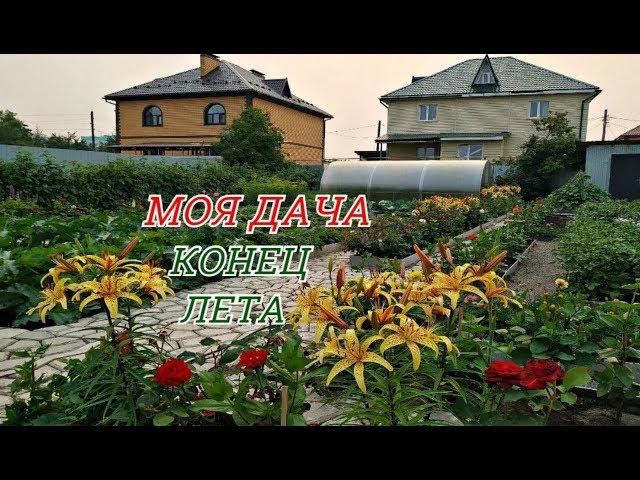 МОЯ  ДАЧА В АВГУСТЕ  УМЕЛАЯ ХОЗЯЙКА