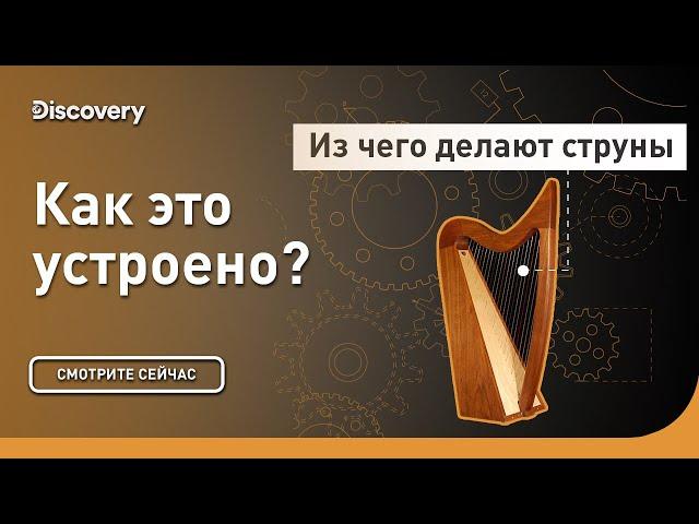 А вы знаете из чего делают струны? | Как это сделано? | Discovery Channel
