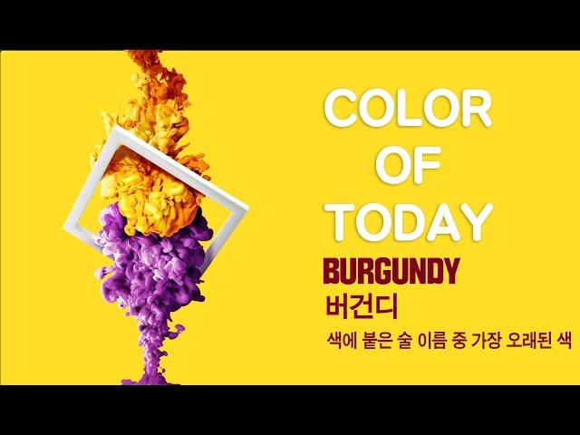 [롬군이의 힐링영상 : 오늘의색] Color of today : BURGUNDY 버건디 / 색에 붙은 술 이름 중 가장 오래된 이름, 하루에 한 컬러, 아름다운 색을 소개합니다.