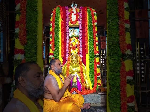 Shree Raghavendra Swamy Darshana  #God #Bhakti #Rayaru #song #music #Shorts #dailydarshan