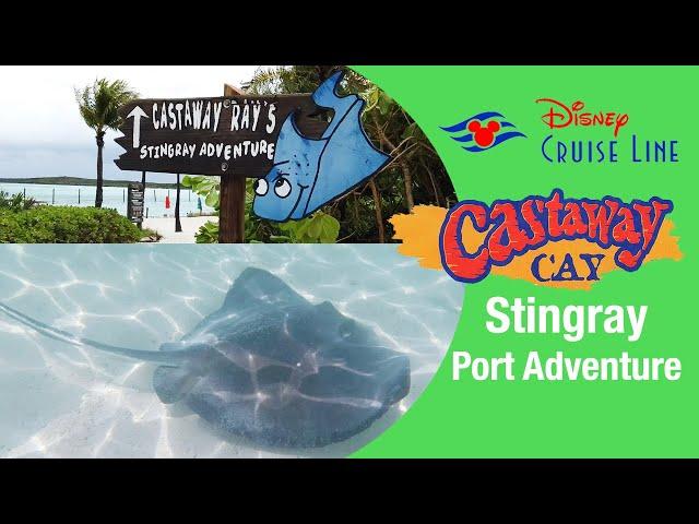 Castaway Cay Stingray Adventure Review