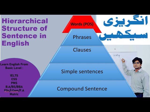 Hierarchical Structure of Sentence in English II POS II Phrase II Clause II Simple Sentence