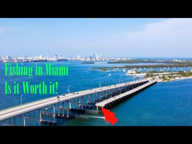 INSANE Urban  Fishing in Miami's HIDDEN Locations!