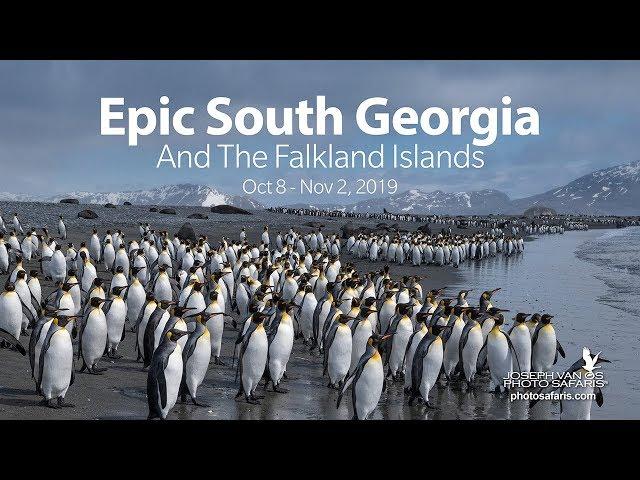 South Georgia Photo Tour 2019