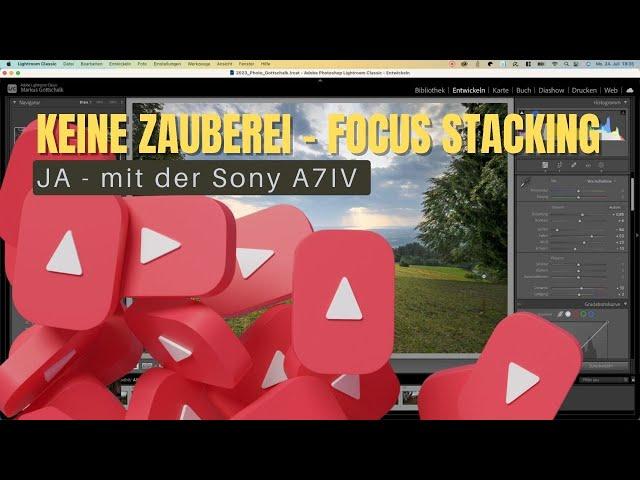 Focus stacking mit der Sony a7IV - Wie ist das möglich?