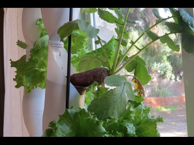 Window Farm FARMIT version