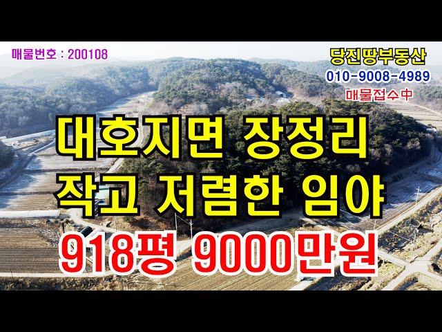 [당진땅/당진토지,공장매매]대호지면 장정리 보전관리지역 작고 저렴한 임야 918평 9000만원!!