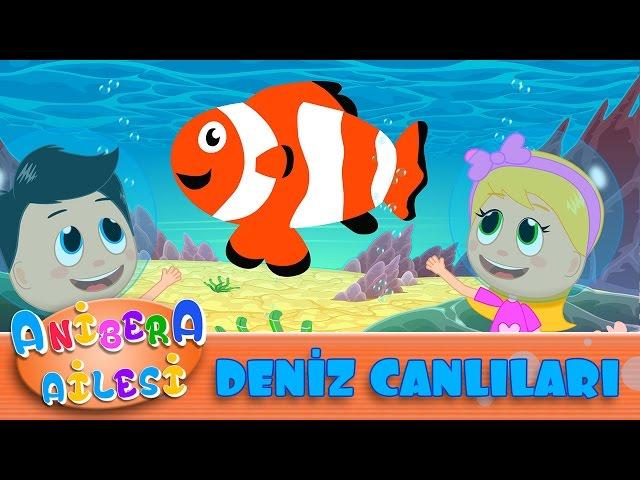 Anibera Ailesi | Deniz Canlılarını Tanıyalım  | Çocuk Masalları | Eğitici Videolar