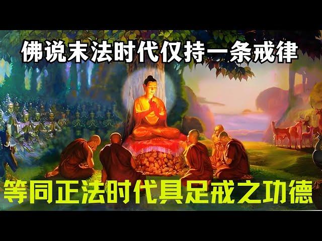 佛说  佛陀时代持250条戒律的比丘，和末法时代仅持一条戒律的比丘，所获功德平等！ 宗萨仁波切】