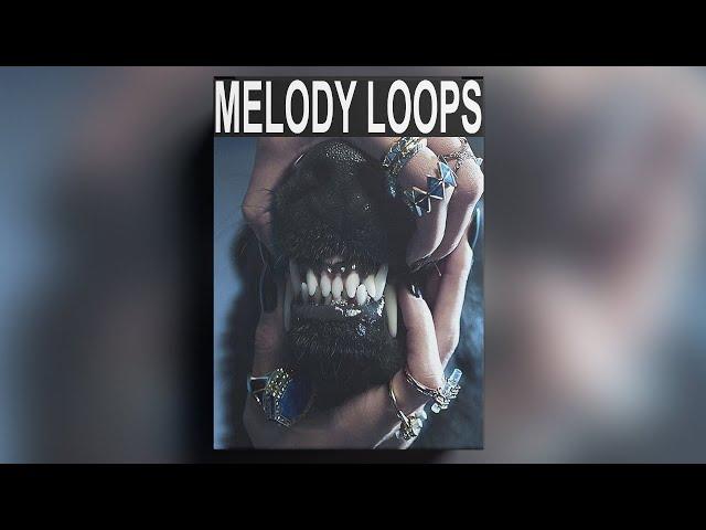 [FREE] SAMPLE PACK / LOOP KIT | MELODY LOOPS (Trap, Rap, Hip-Hop Samples) | vol.156