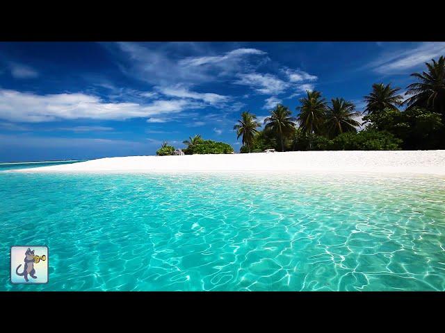 Breathtaking Beaches  Amazing Nature Scenery & The Best Relax Music