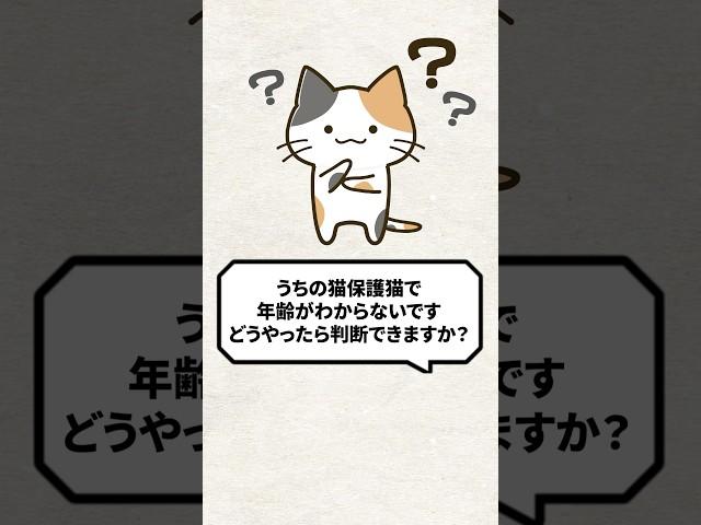 Q: I want to know the age of the rescued cats! #cat #rescuecat #straycat #cat