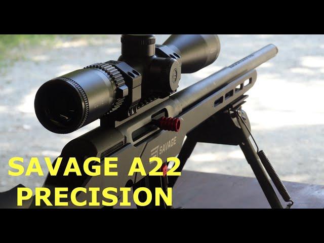 Savage A22 Precision Review. Testing Different 22LR Ammo at 50 and 100 Yards.