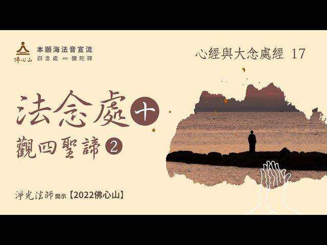 【心經與大念處經的經法與禪法17】法念處10 觀四聖諦2【字幕版】_淨光法師開示