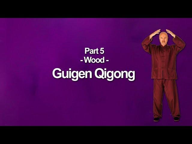 Guigen Qigong Wood Element -Part 5- Medical Qigong Training Exercises