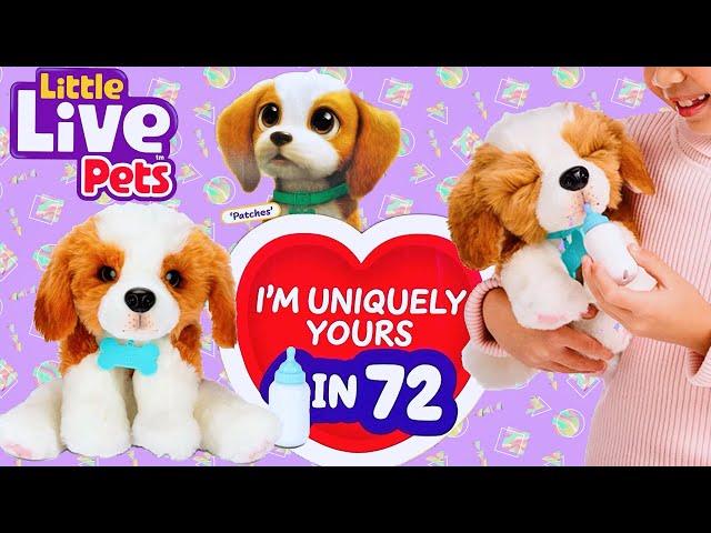 Little Live Pets My Really Real Puppy - Patches The Beagle | Play & Care for Just Like a Real Dog !