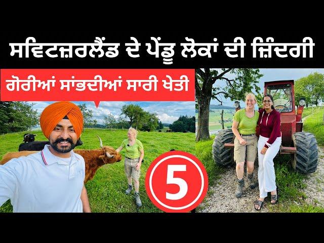 ਸਵਿਟਜ਼ਰਲੈਂਡ ਚ ਗੋਰੀਆਂ ਵੀ ਕਰਦੀਆਂ ਖੇਤੀSwiss Daily Village life | Punjabi Travel Couple Ripan Khushi