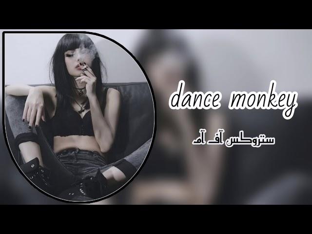 اغاني تيك توك مطلوبه - ديس فومي - بطيء 2020 DANCE MONKEY