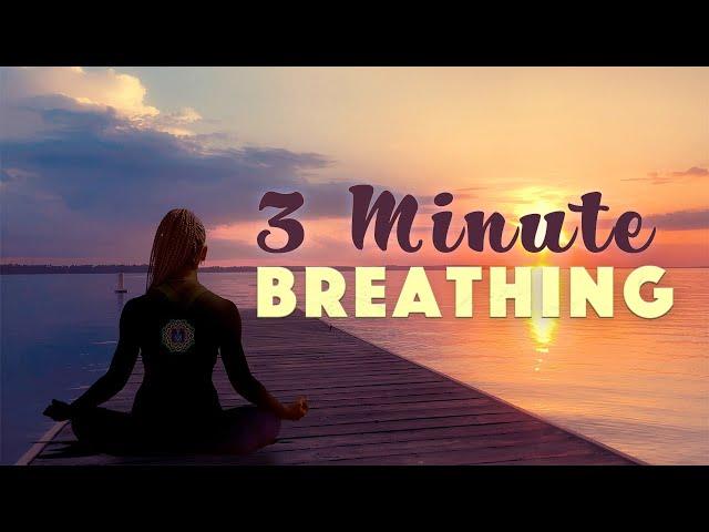 3 Minute Breathing Meditation