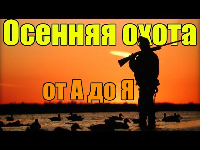 Осенняя охота на пернатую дичь от А до Я!