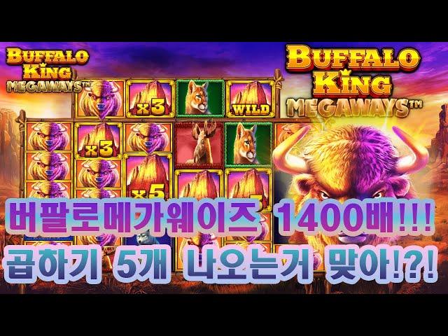 [슬롯] [슬롯실시간] [슬롯잭팟] 버팔로메가웨이즈 1400배 곱하기 5개 미친다!!!  #슬롯라이브 #슬롯머신 #슬롯실시간