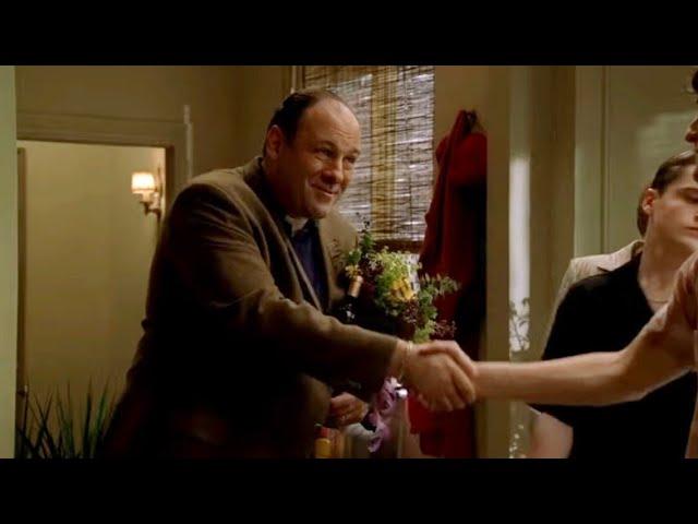 The Sopranos - Tony Soprano meets Shaggy