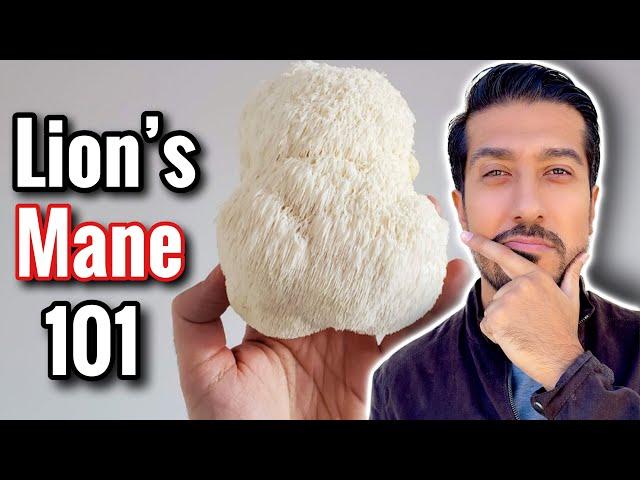 Lion's Mane Mushroom for Anxiety and Brain Function | Does Lion’s Mane Work?