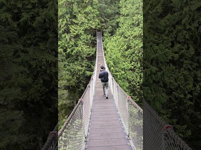 paradise is real #vancouver #shorts #travel #short #like #subscribe