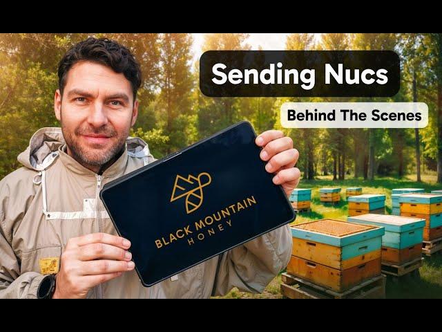 Sending Nucs - BEHIND THE SCENES