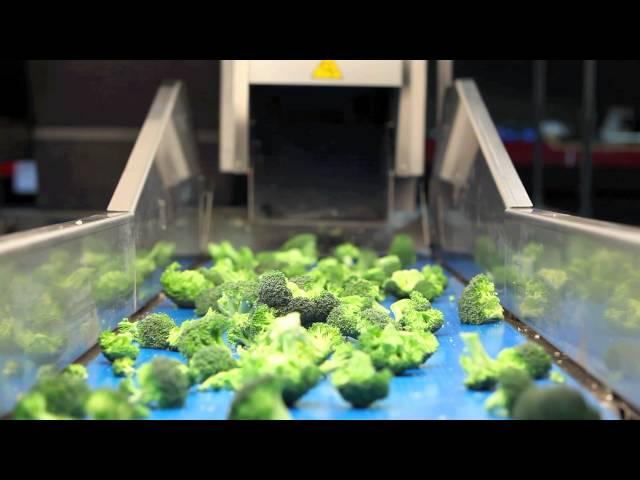 broccoli floretting machine cutting machine decoring machine trimming machine