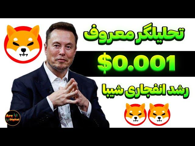 تحلیلگر معروف: رشد انفجاری شیبا بزودی شروع میشود؟ | قیمت شیبا اینو0.001$؟