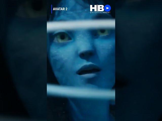 AVATAR 2: THE WAY OF THE WATER  (2022) | Sam Worthington, Zoe Saldana