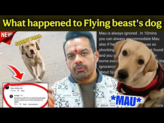 What happened to Flying beast's dog: Gaurav taneja के Dog mau को क्या हुआ? #flyingbeast