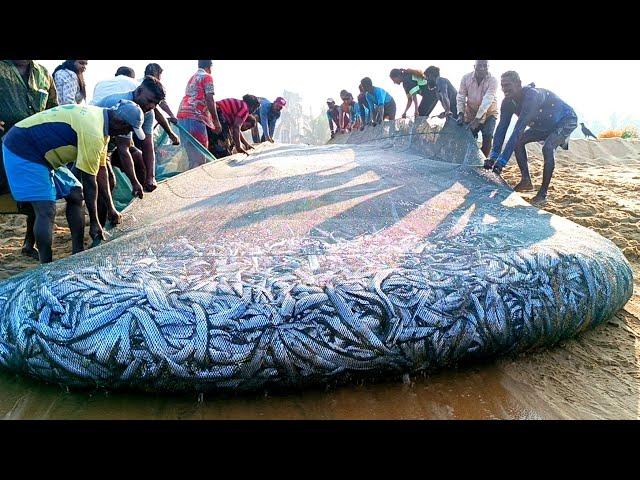  Woow!! Amazing !! Million 8k of fish catching unbelievable fishing video @fishnegombo