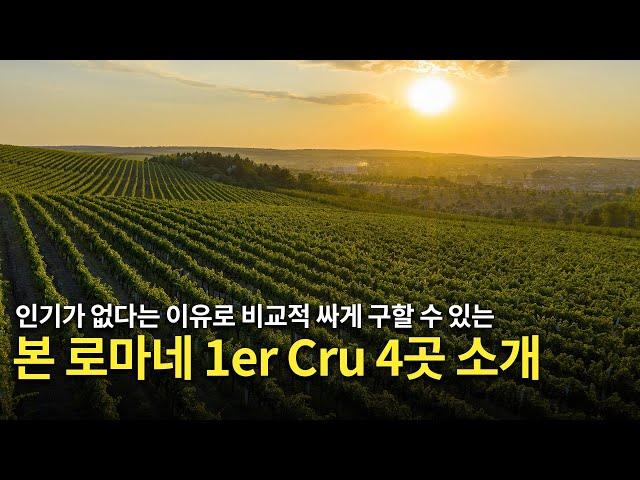 [Eng.sub] 비교적 저렴한 가격에 경험해 보세요! 본 로마네 1er Cru (La Croix Rameau, Clos de Reas, Les Rouges, En Orveaux)