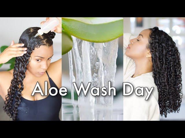 Aloe Vera Curly Hair Wash Routine to Grow, Moisturize & Define Your Curls