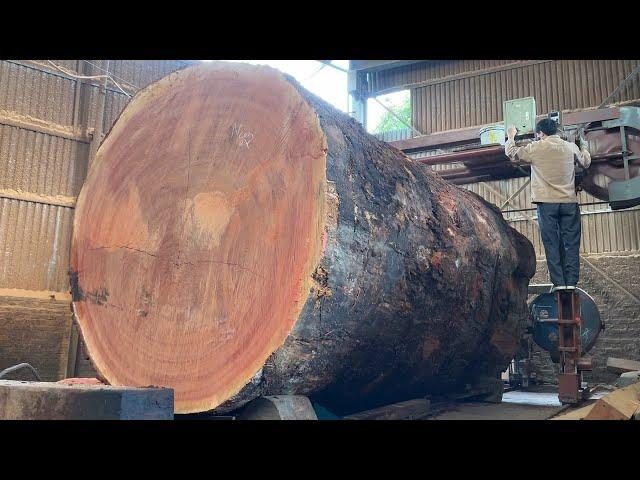 Amazing Fastest Large Wood Sawmill Machine Working | Producing Raw Wood In Factory You Must See