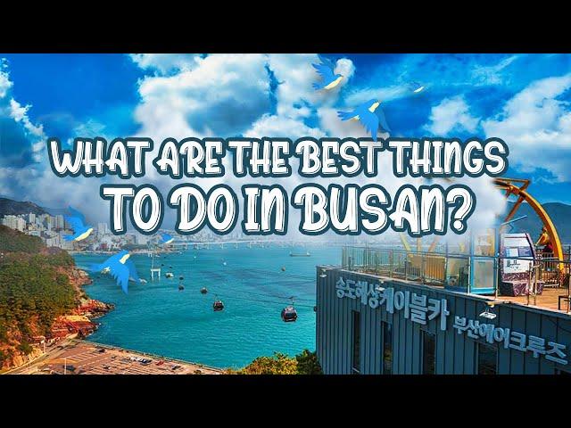 Top 5 FUN Things To Do In Busan