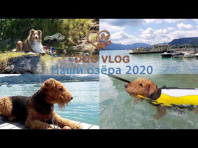 DOGVLOG: 1 Наши озёра -2020 - Our lakes 2020