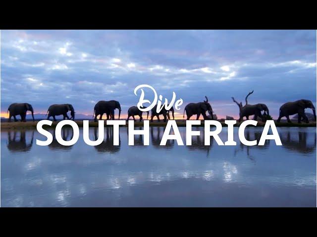 Scuba Diving in South Africa