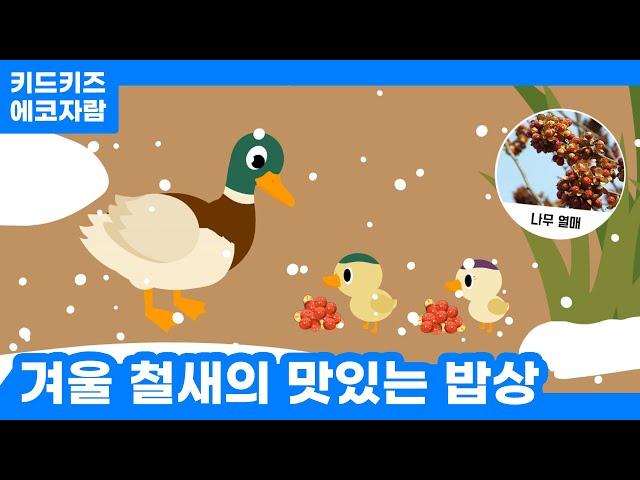 [에코자람] 겨울 철새의 맛있는 밥상!ㅣ키드키즈ㅣ환경동화ㅣ환경교육ㅣ어린이동화ㅣ유아동화ㅣ12월동화ㅣ겨울동화