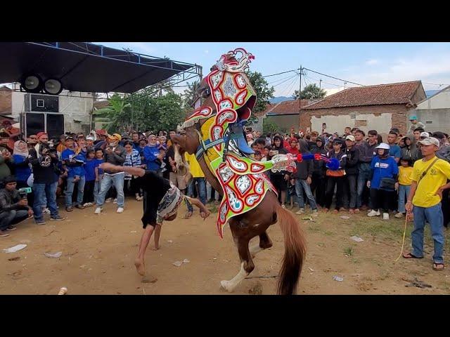 atraksi kuda silat pun Raja geboy group | kuda renggong putra pusaka group (PPG)