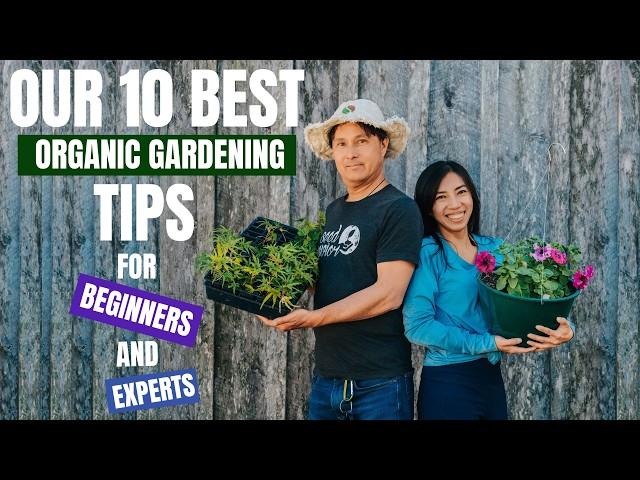 10 Organic Gardening Tips: 5 for Beginners & 5 Advanced Techniques